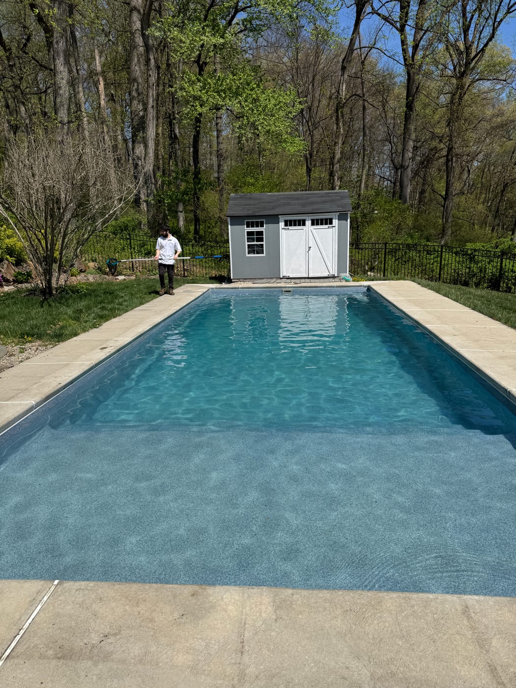 Sparkling pool after a TrueBlue opening